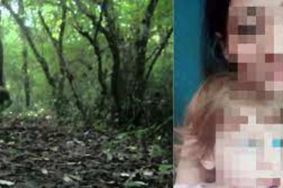 “Nascosta per ore tra le spine per non farmi trovare. Cosa mi ha fatto”: il racconto shock della vittima dello stupro di Priverno