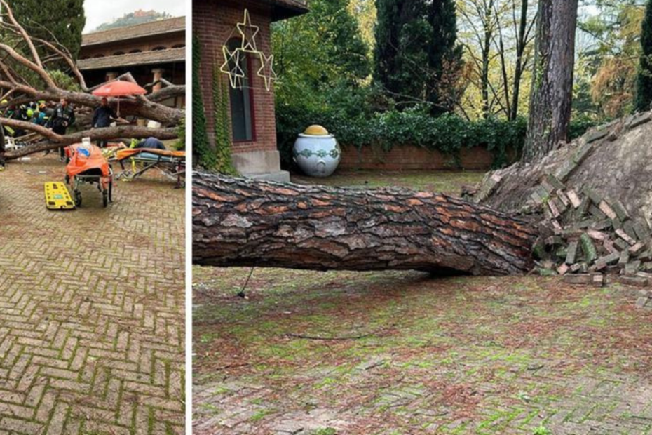 Pino caduto nel parco delle terme a Montecatini: travolta la Casa di Babbo Natale