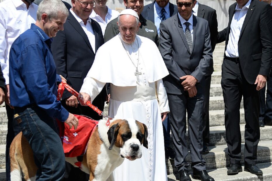 Papa Francesco cani figli