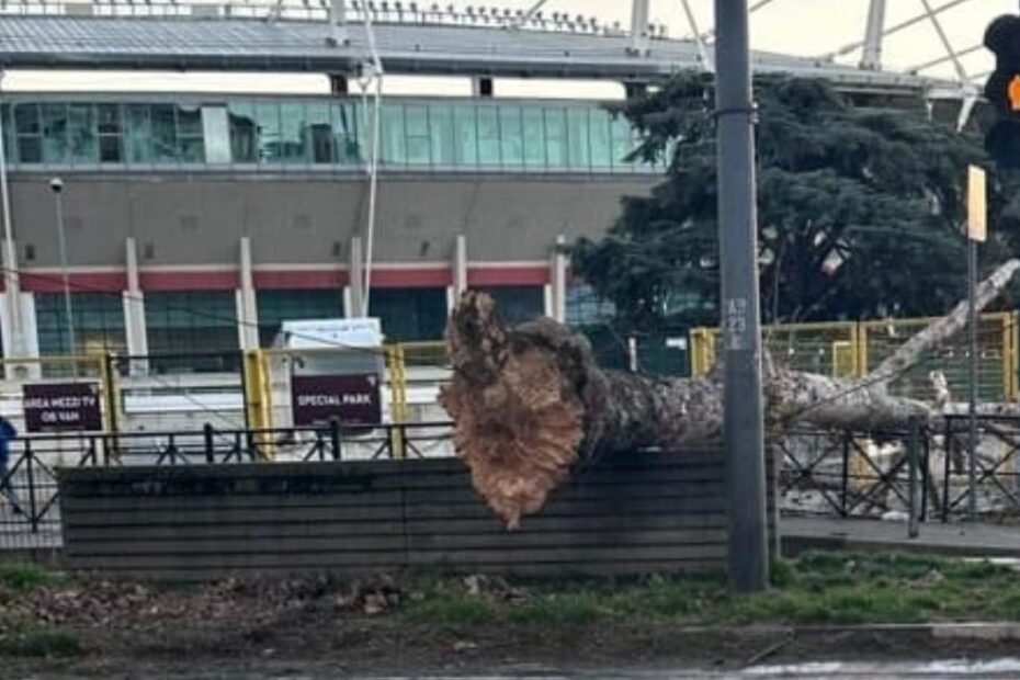 Torino venti di föhn