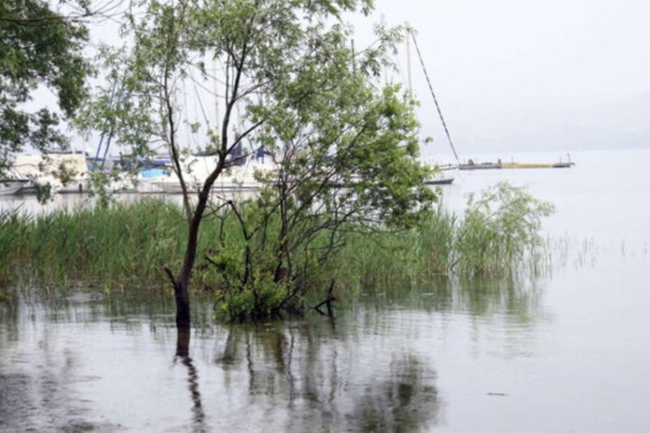 barca lago di Massaciuccoli