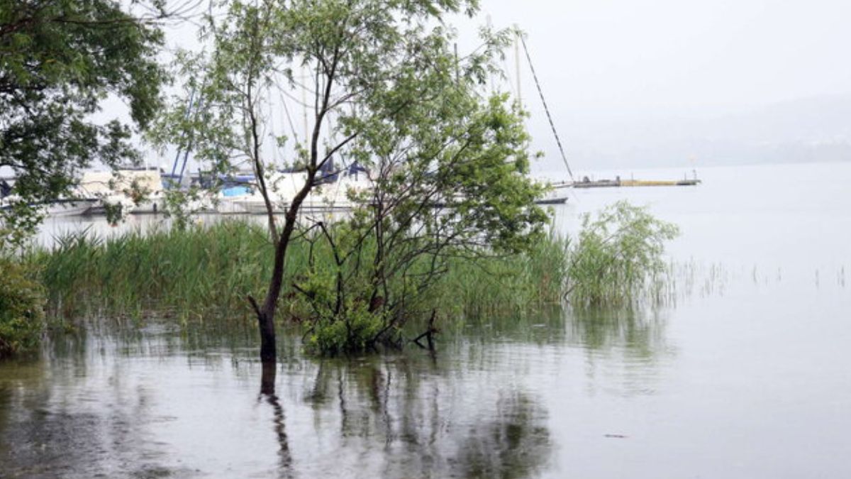 barca lago di Massaciuccoli