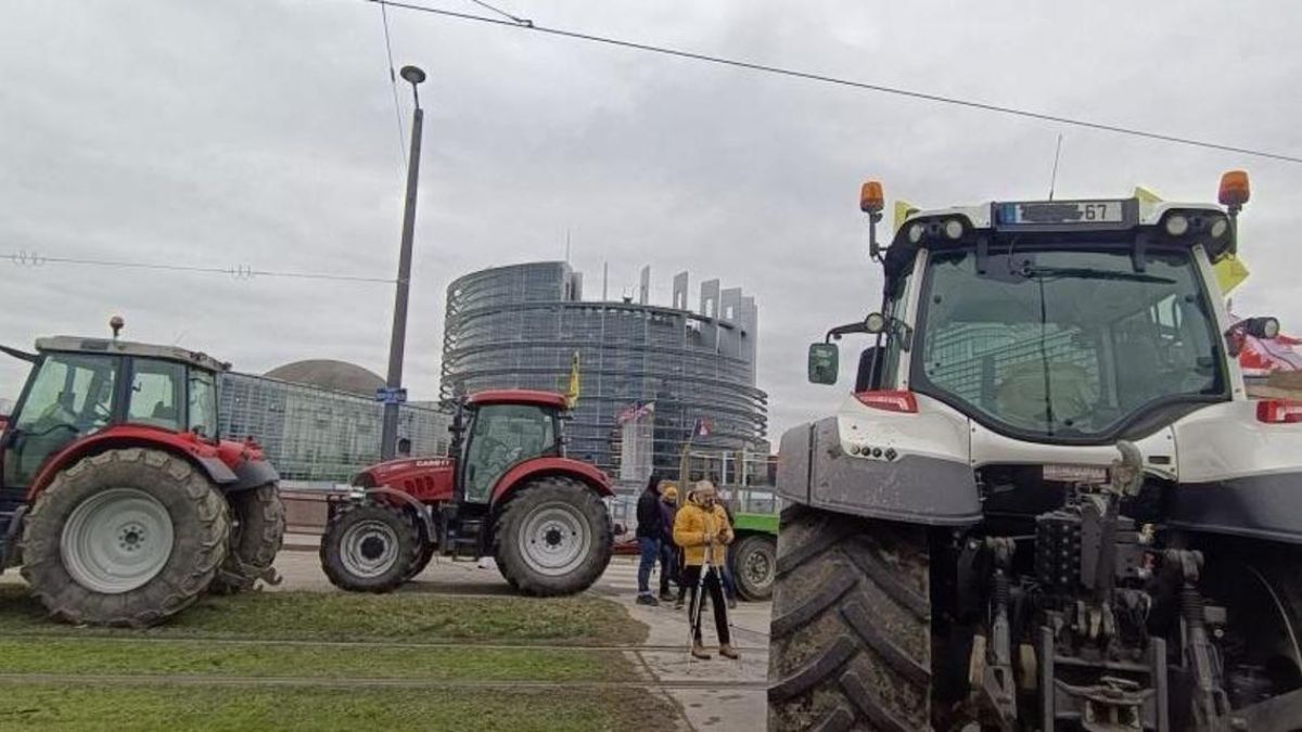 protesta trattori Parlamento europeo