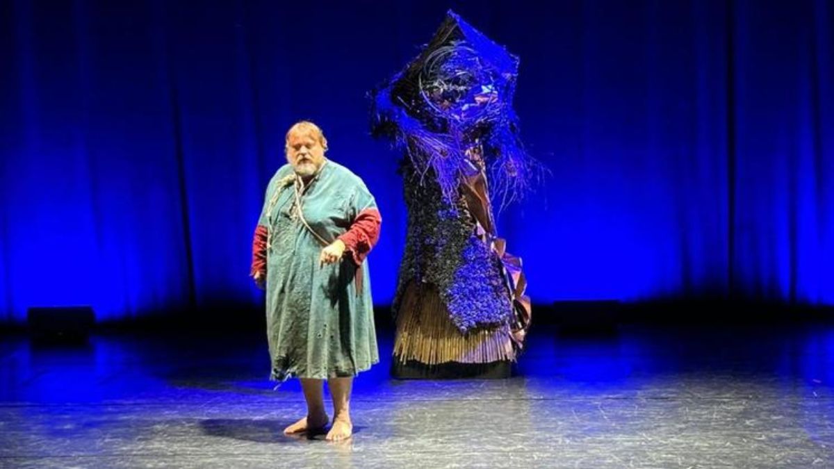 Stefano Fresi malore palco