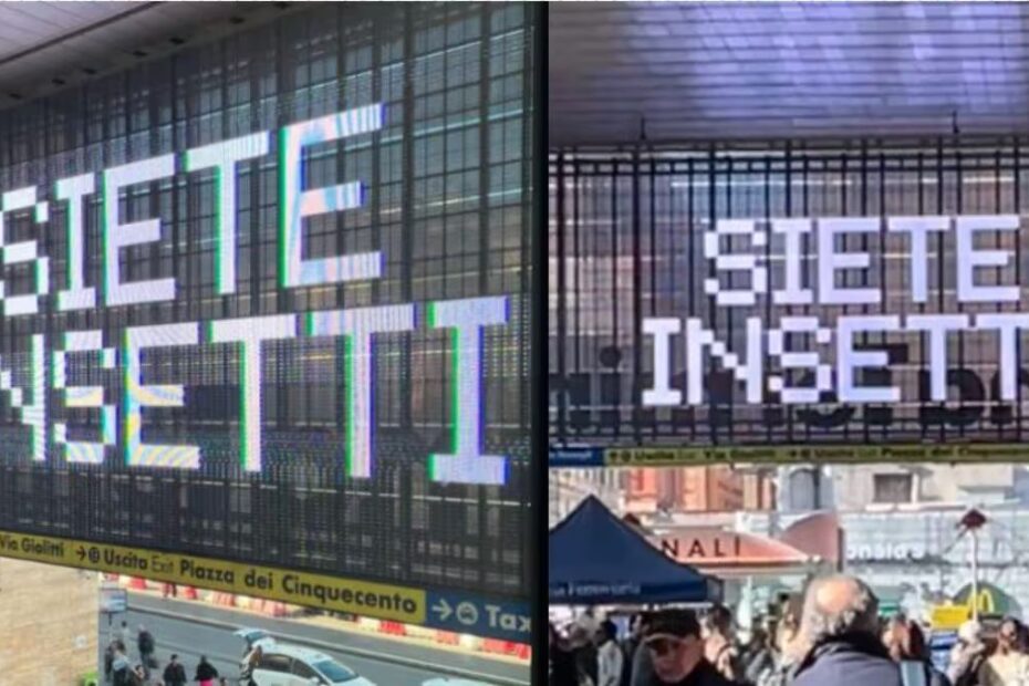 siete insetti scritta stazione