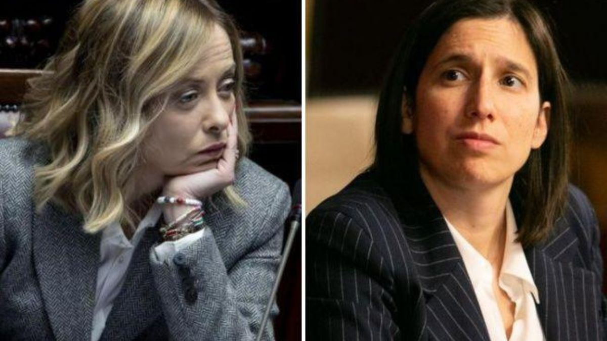 sondaggi politici Meloni Schlein