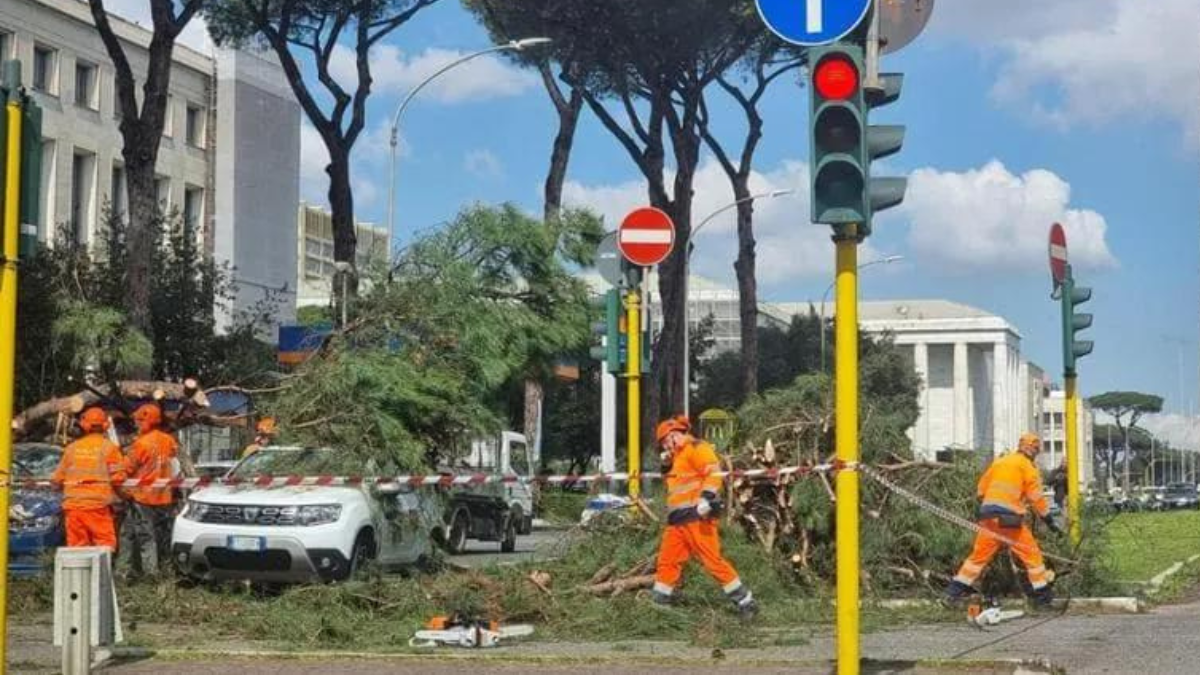 Crolla albero all’Eur, colpisce una macchina: ci sono feriti