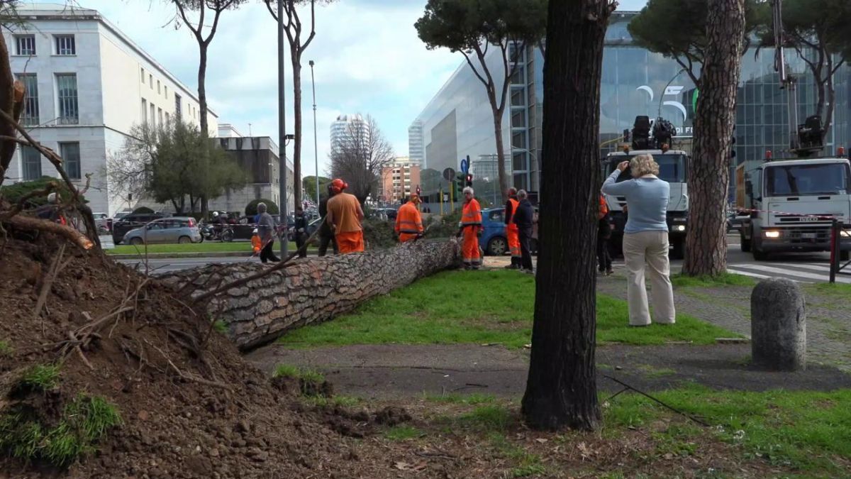 ascoli ragazzo cade terrazzo