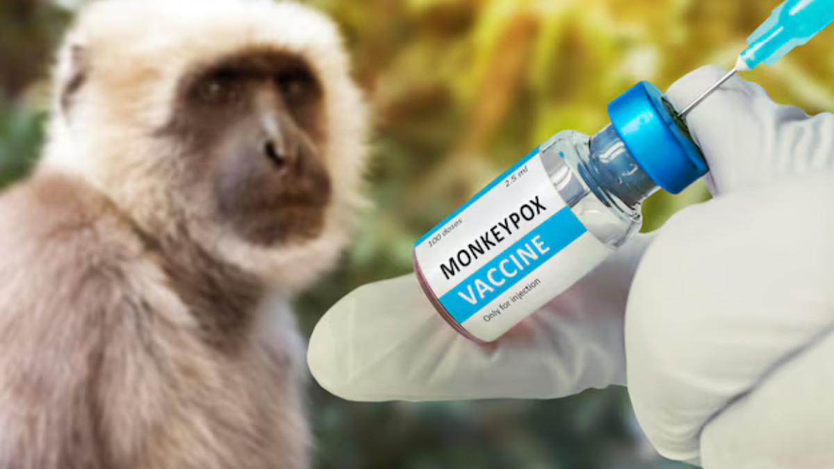 Arriva il virus B della scimmie, gli esperti avvisano: “Mortalità altissima”