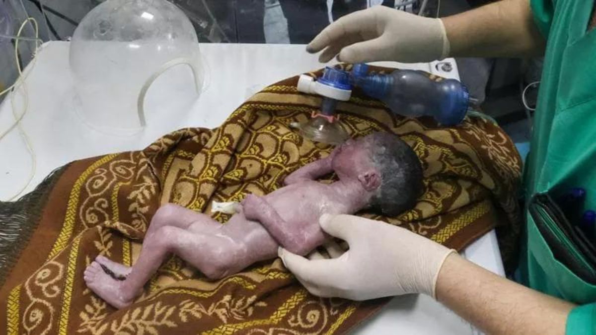 Gaza Sabreen Erooh nasce
