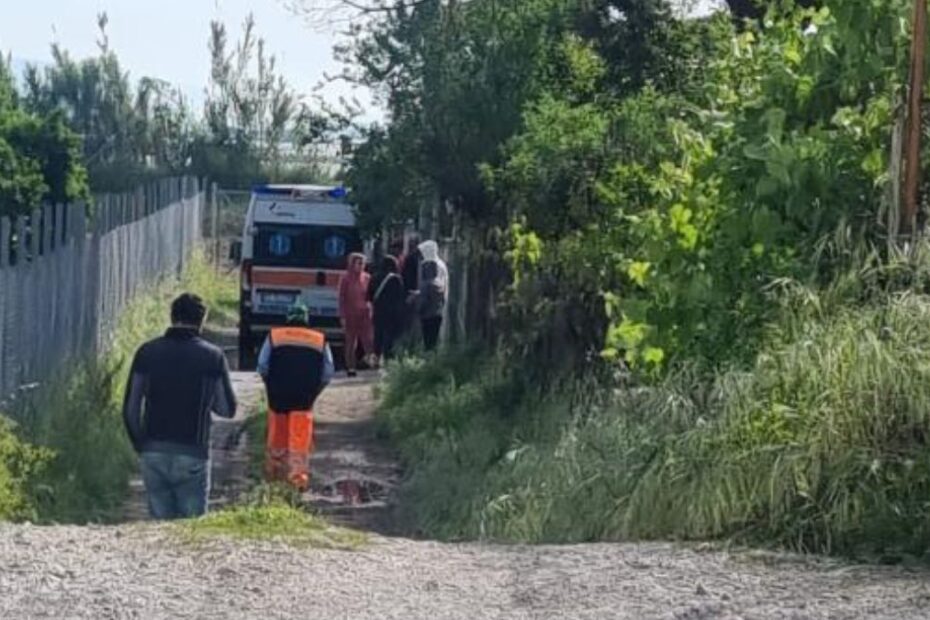 Eboli bimbo ucciso pitbull