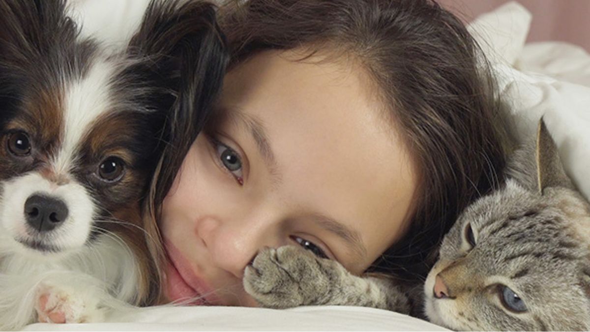 Dormire con i gatti è riposante, con i cani… meno: cosa dicono gli esperti