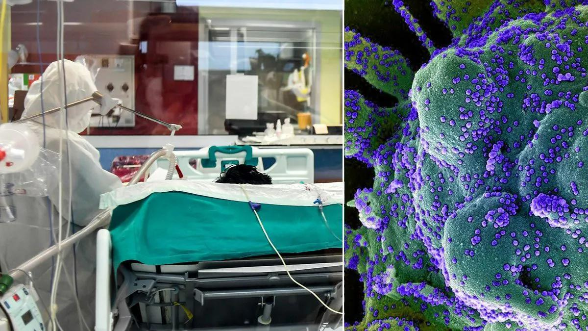 72enne muore due anni dopo aver contratto il Covid: il virus era mutato 50 volte nel suo organismo