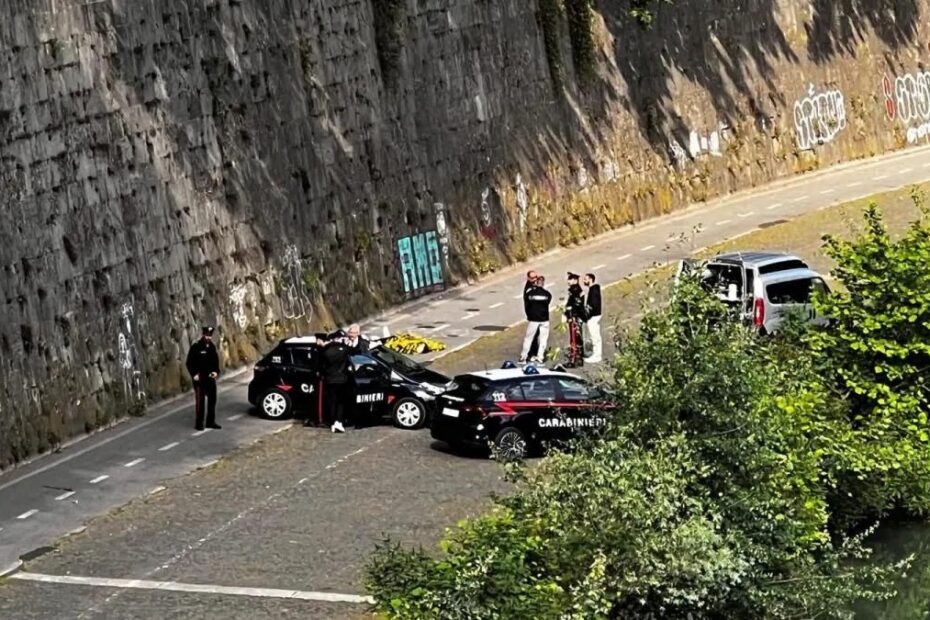 Roma turista svedese Tevere