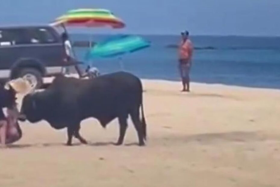 Mesico toro donna spiaggia