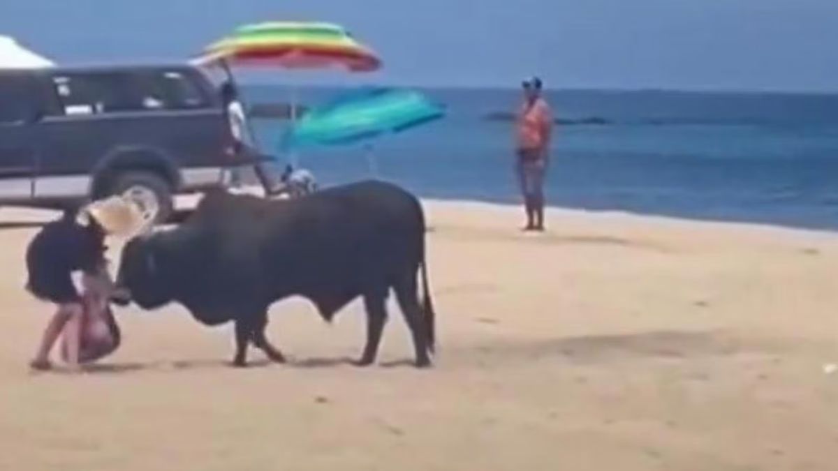 Mesico toro donna spiaggia