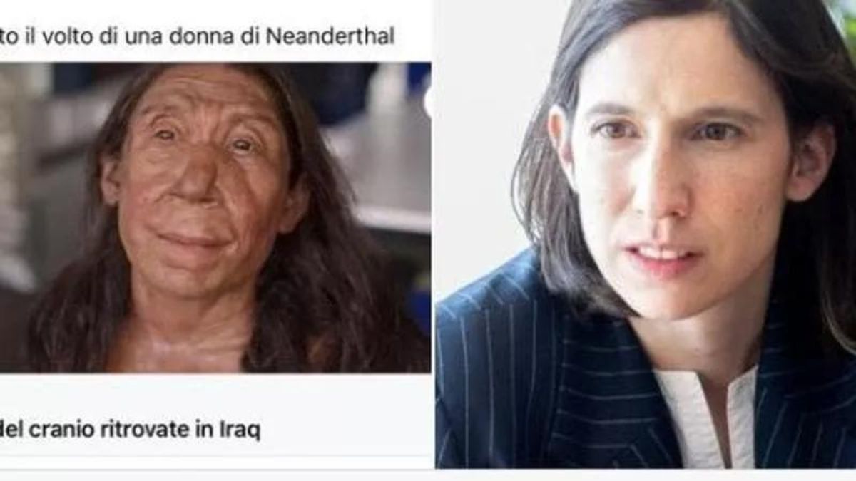 Elly Schlein paragonata a una donna di Neanderthal: il folle post di Luigi Rispoli, numero 2 di Fdi a Napoli