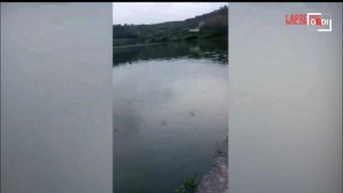 Terremoto Campi Flegrei, il Lago d’Averno sembra ribollire