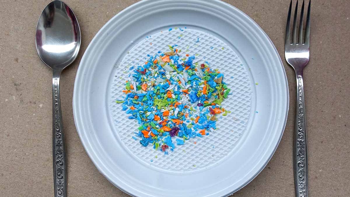 microplastiche