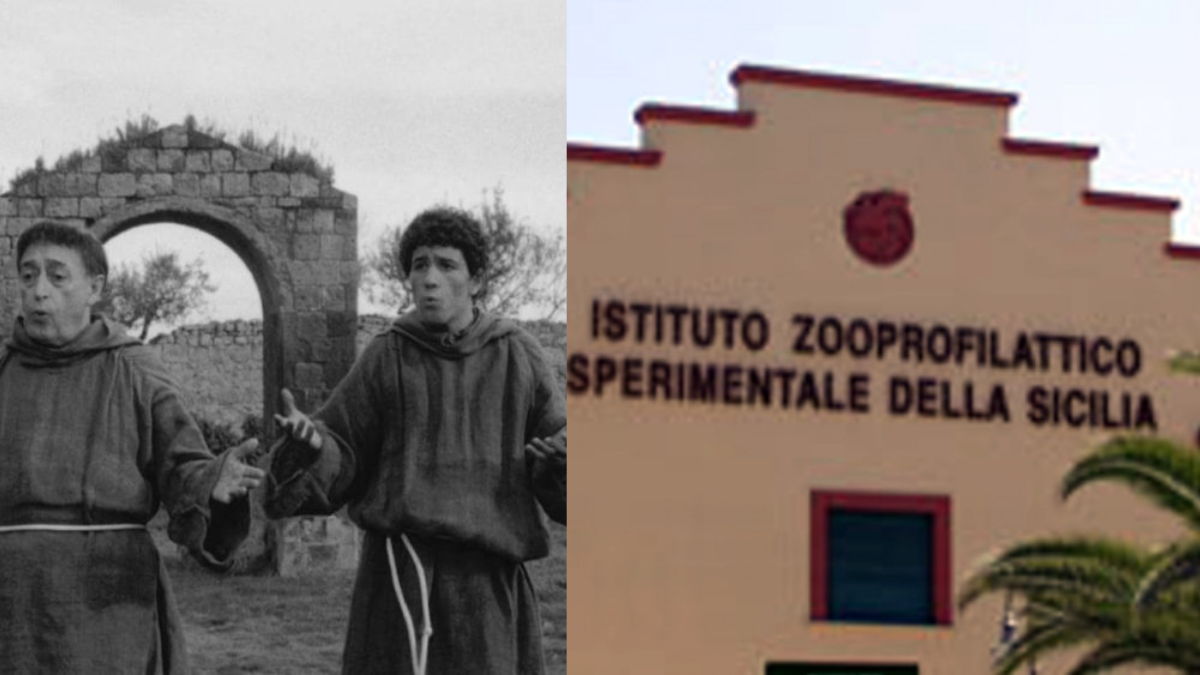 Uccellacci e Uccellini (da liberare): la bizzarra storia dell’Istituto zooprofilattico siciliano