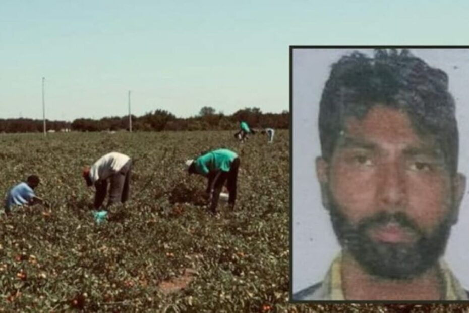bracciante indiano Latina autopsia