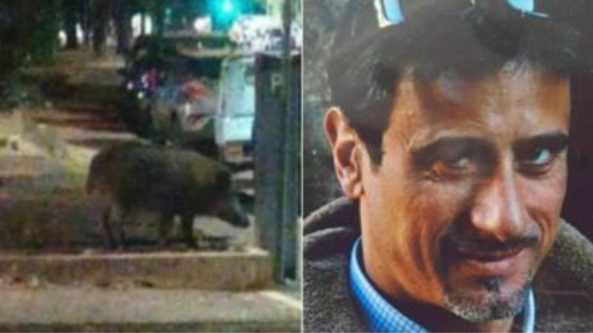 Stefano Violati morto cinghiale