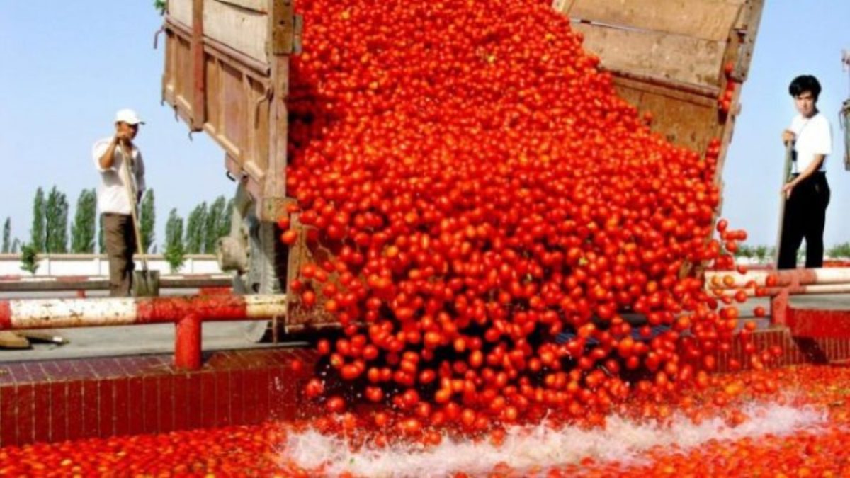 pomodoro cinese