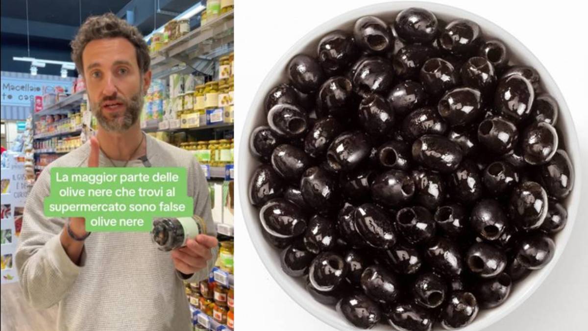 olive nere