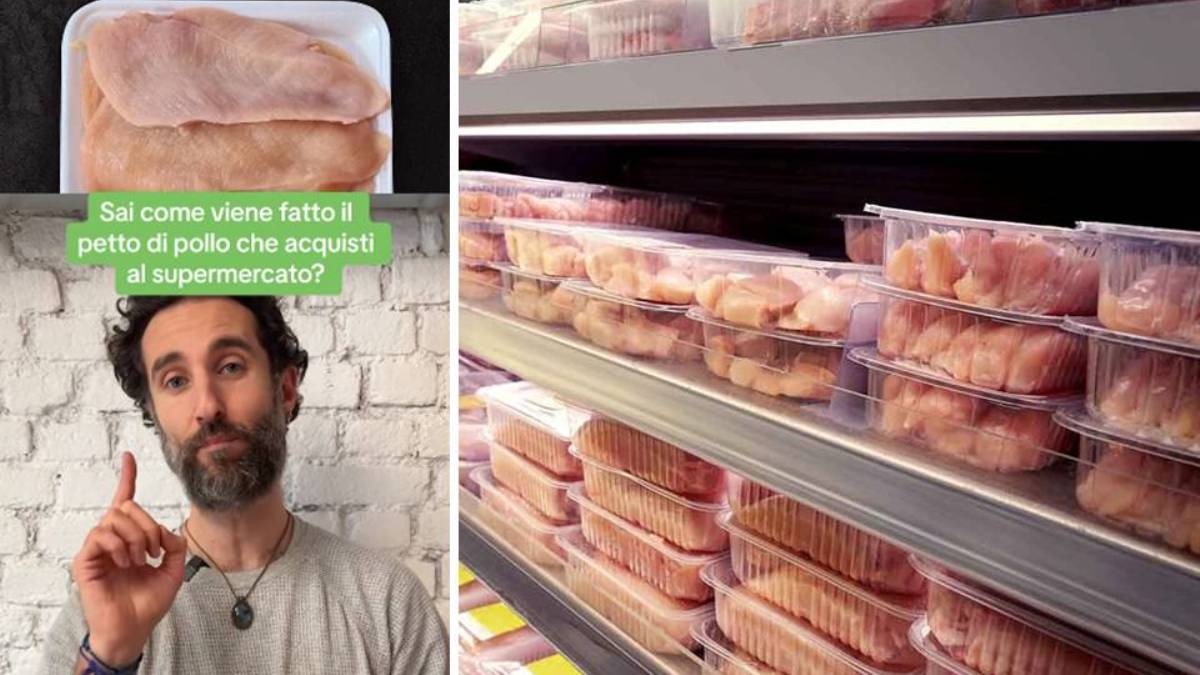 petto di pollo