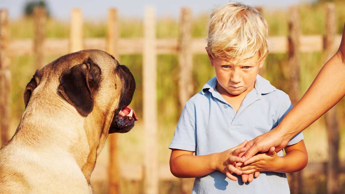 cani non adatti bambini