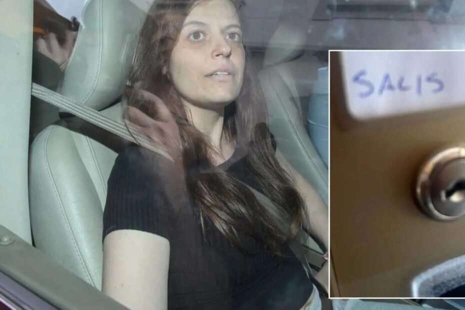 Ilaria Salis residenza fantasma