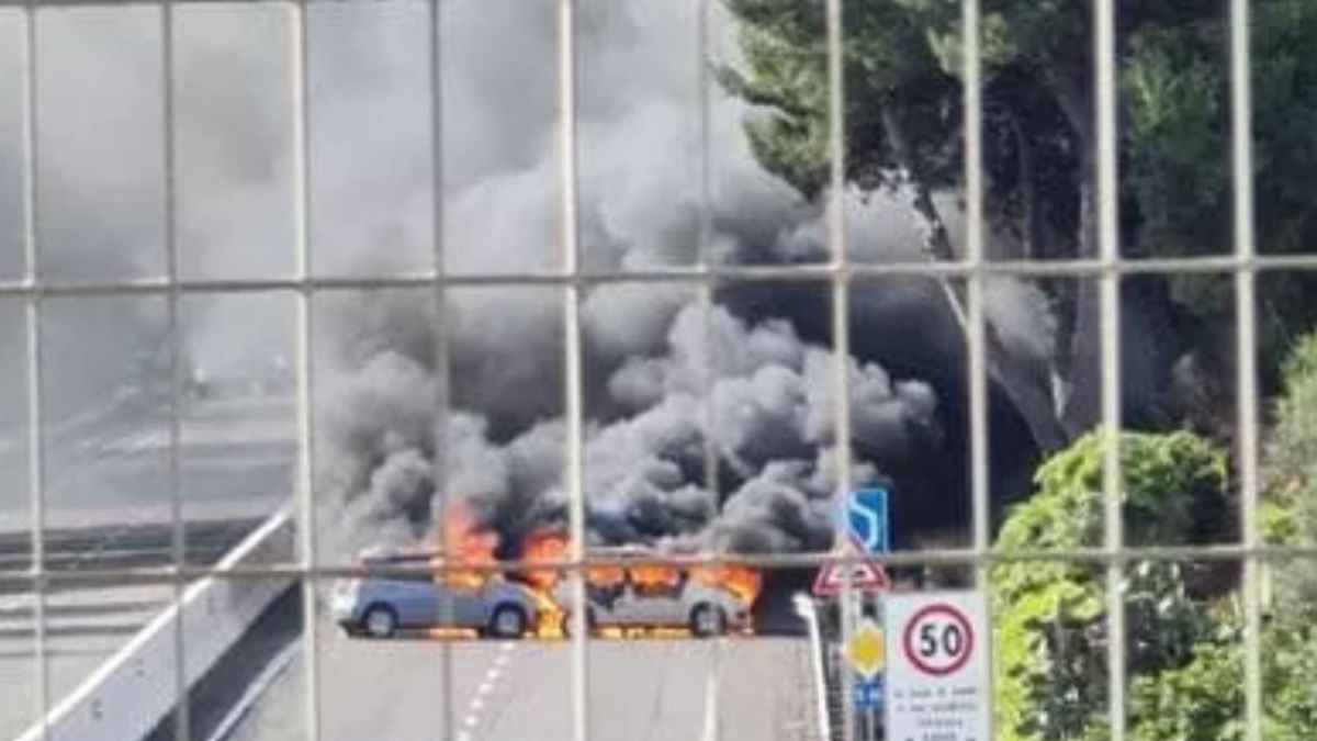 assalto portavalori Brindisi Lecce