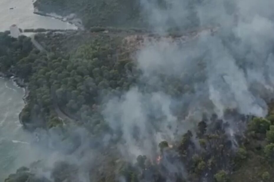 Vieste incendio bosco San Felice