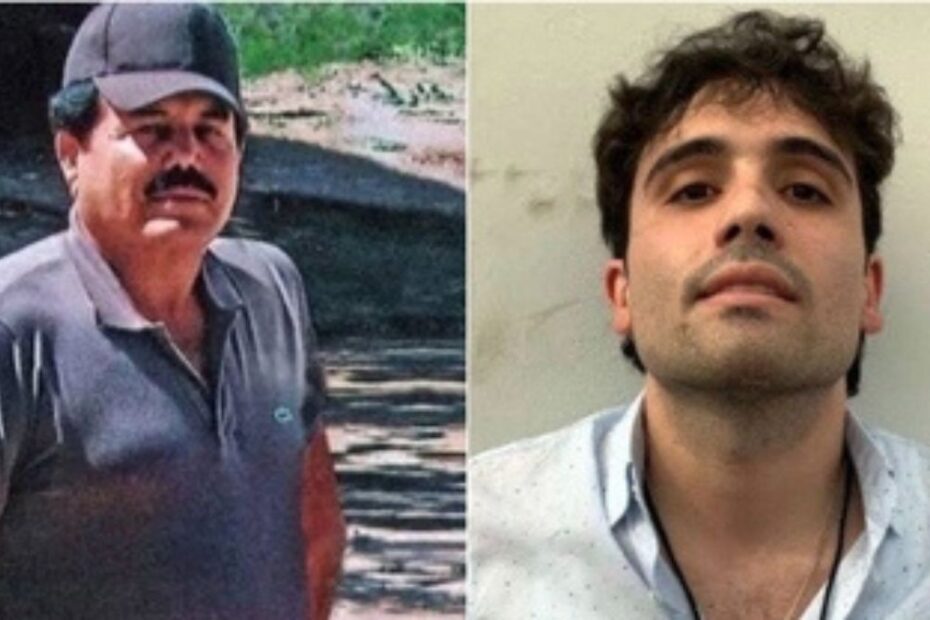 arrestati Mayo Chapo Sinaloa