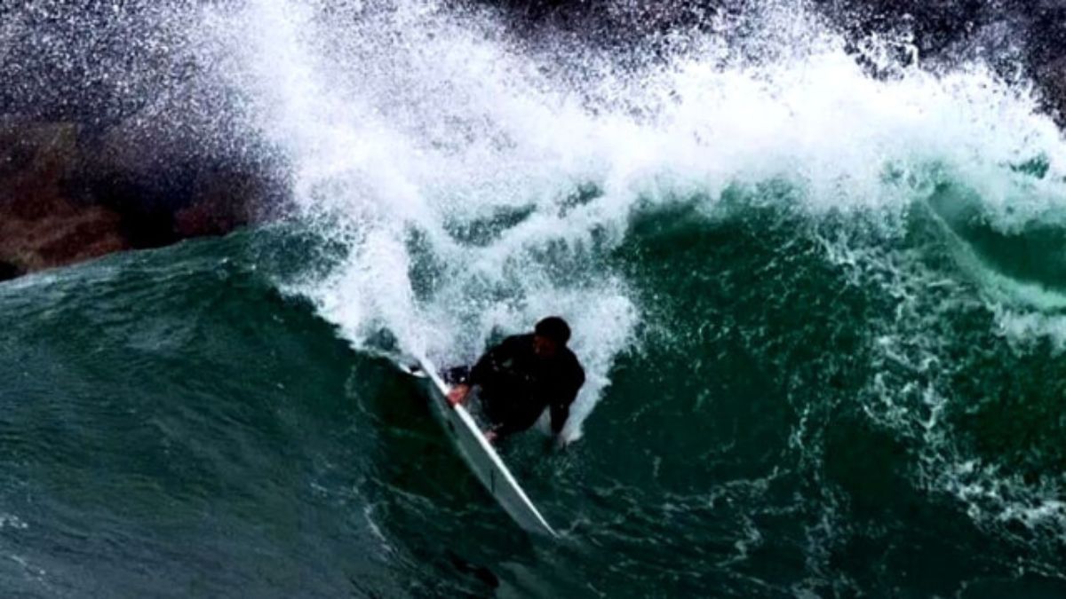 Australia surfista squalo gamba