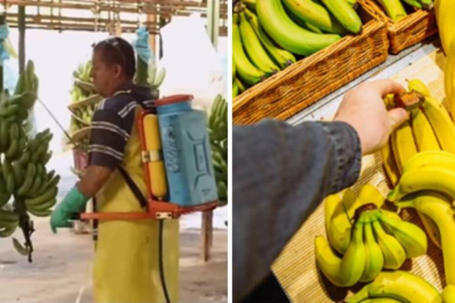 banane