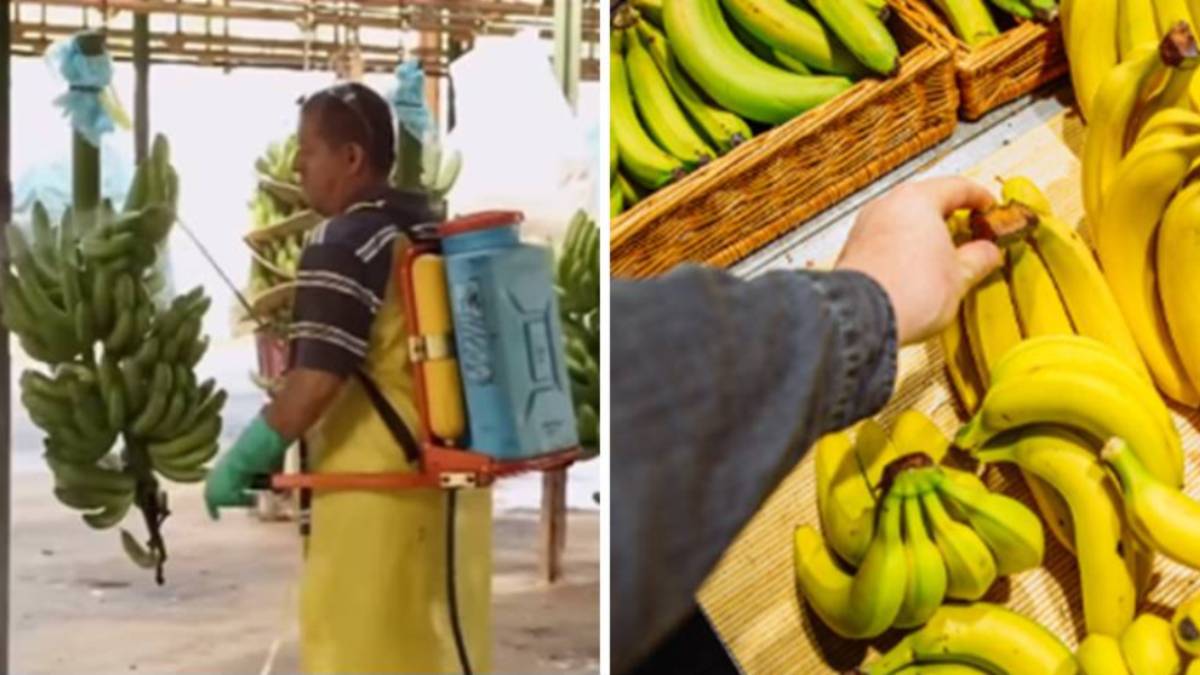 banane