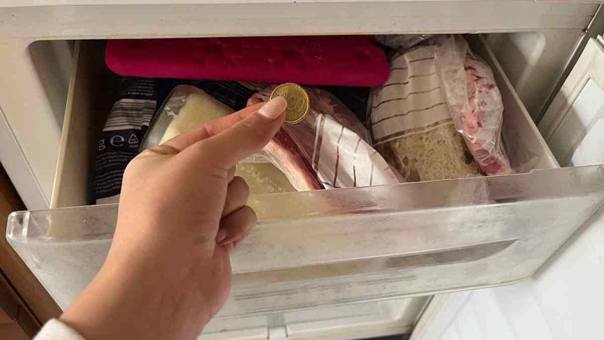 moneta nel congelatore