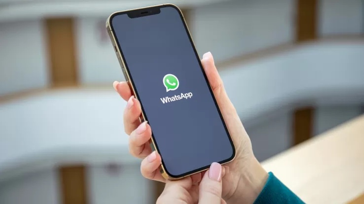 truffe whatsapp