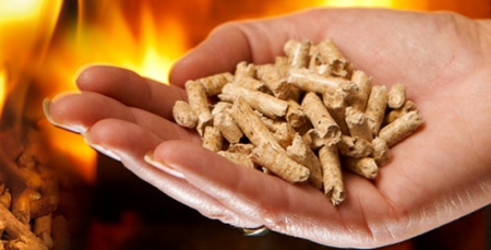 pellet