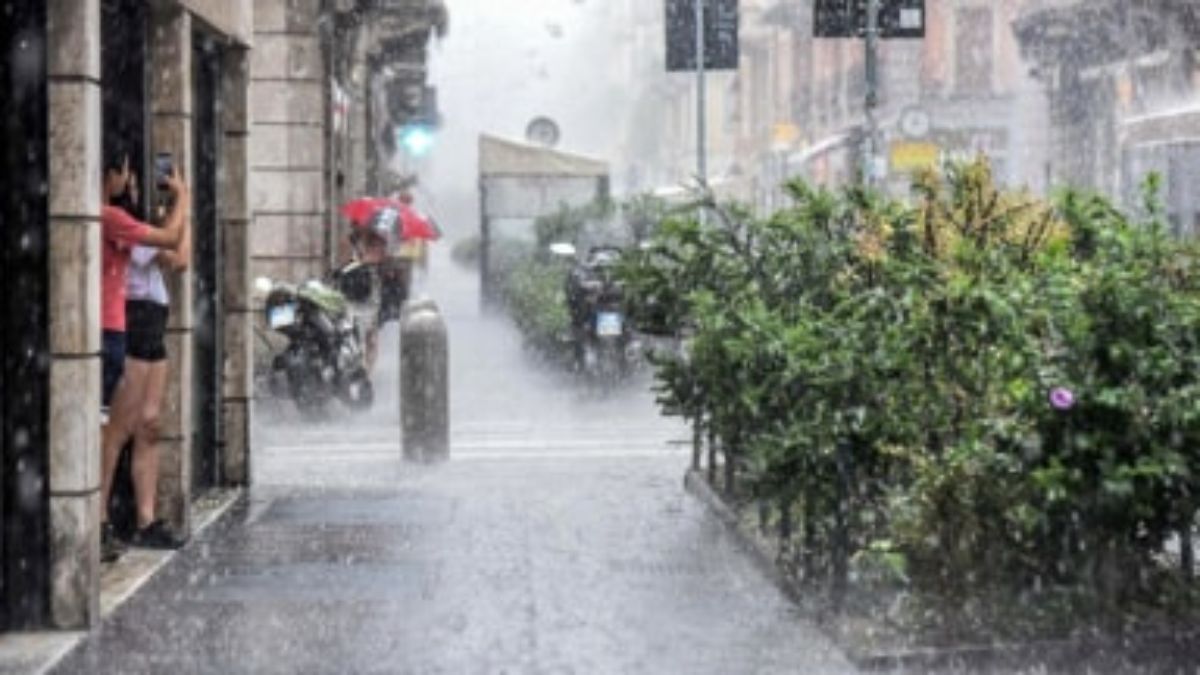Milano forti temporali alberi