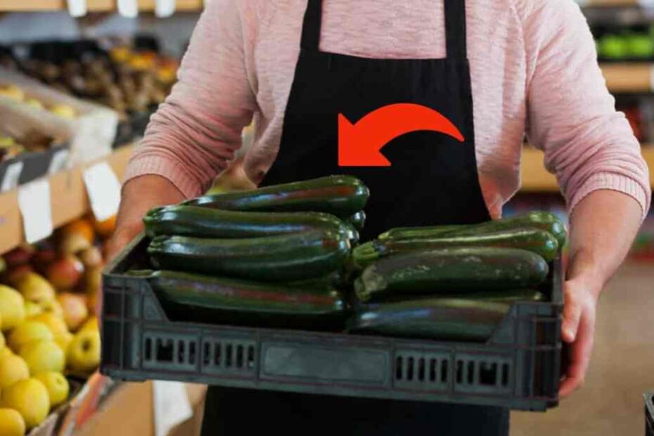 zucchine