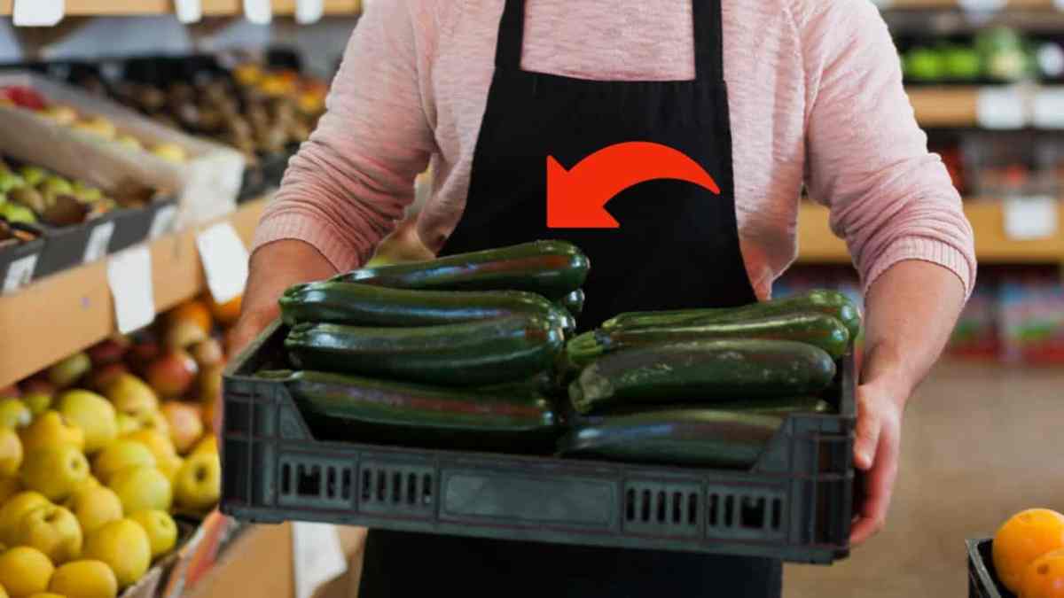 zucchine