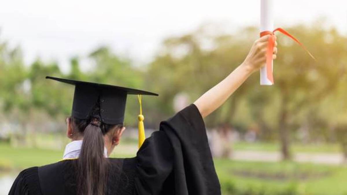 università