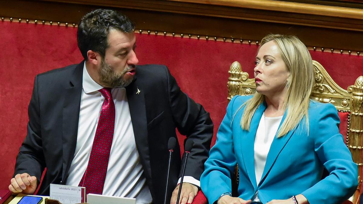 titoli di studio politici