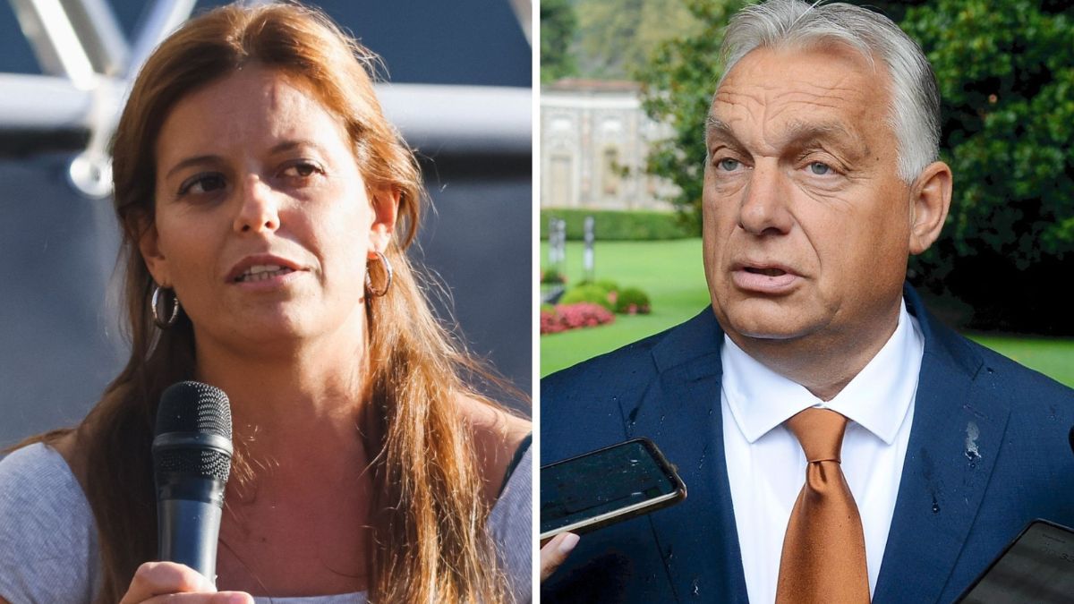 Ilaria Salis appello Orban