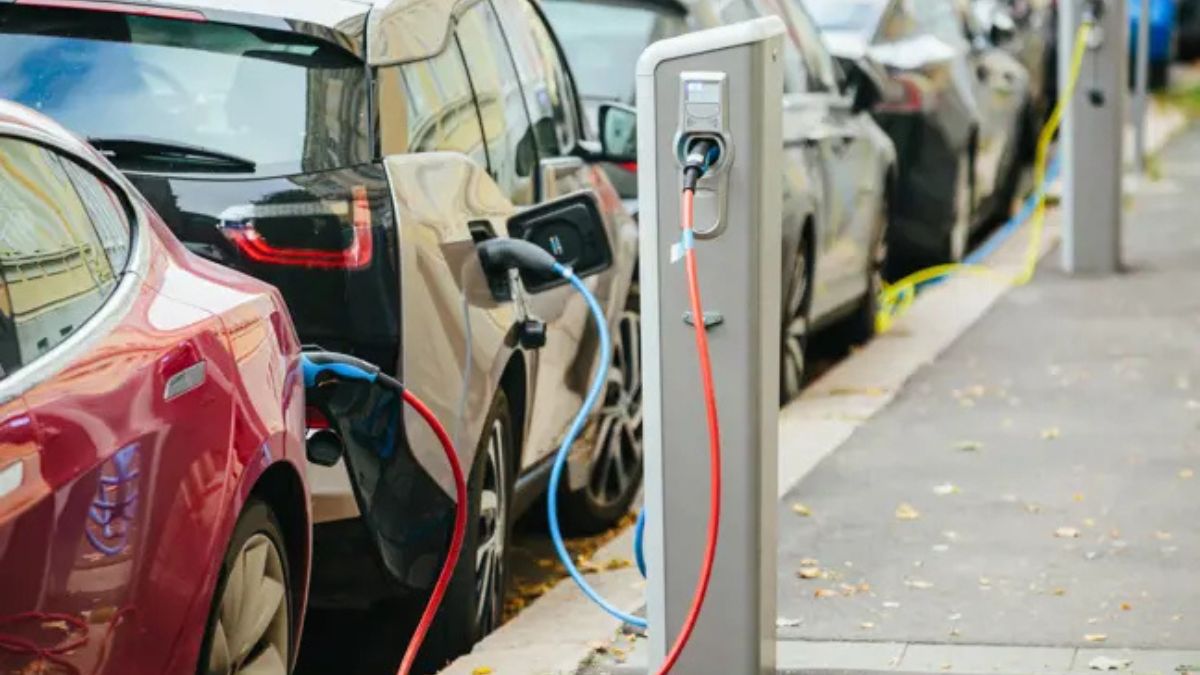 auto elettriche concessionari obbligati