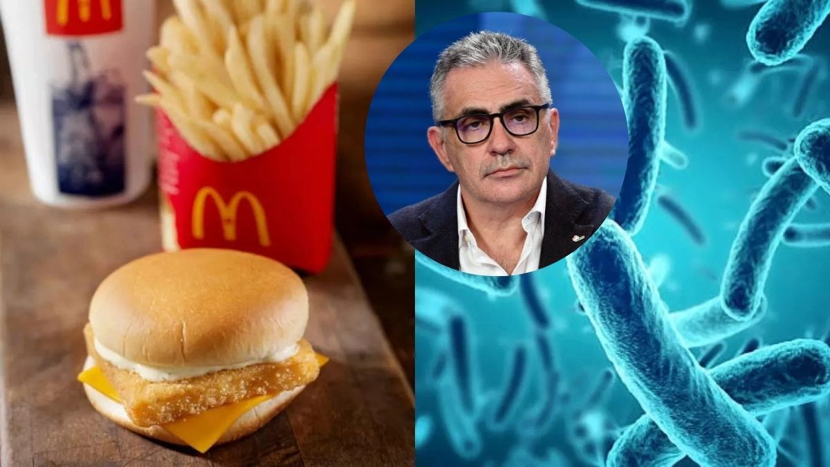 Escherichia hamburger McDonald's Pregliasco