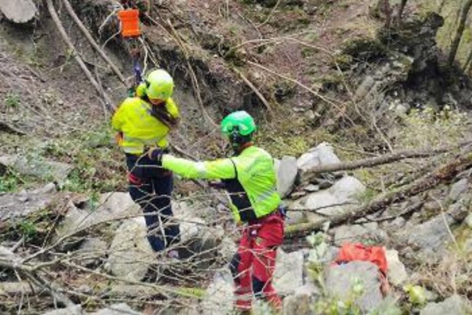 fungaiolo ucciso fucile Reggiano