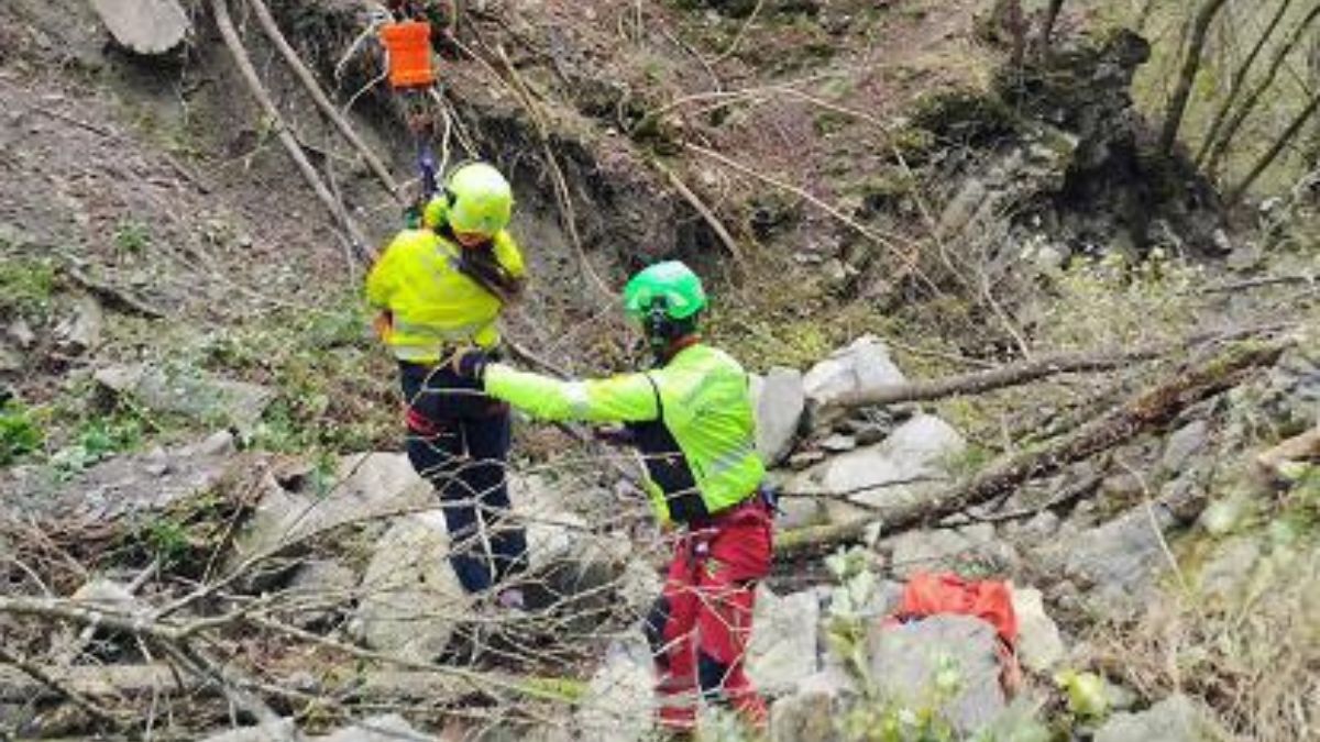 fungaiolo ucciso fucile Reggiano